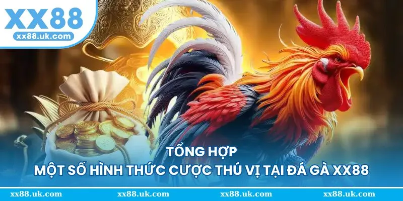 Một số hình thức được nhiều sự quan tâm tại sảnh